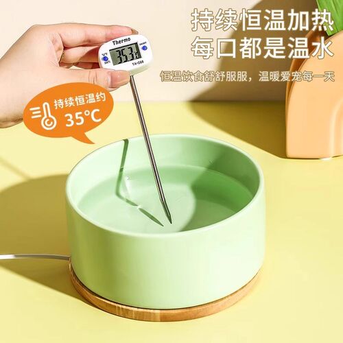 恒温猫咪饮水机实木底座加热水碗宠物喝水四季通用狗狗猫咪饮水器