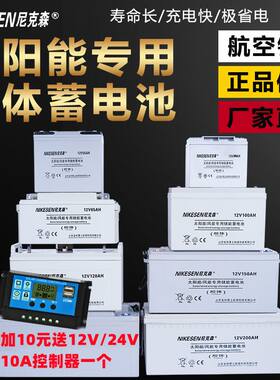 太阳能蓄电池12V家用大容量胶体免维护100ah200ah监控路灯UPS电瓶