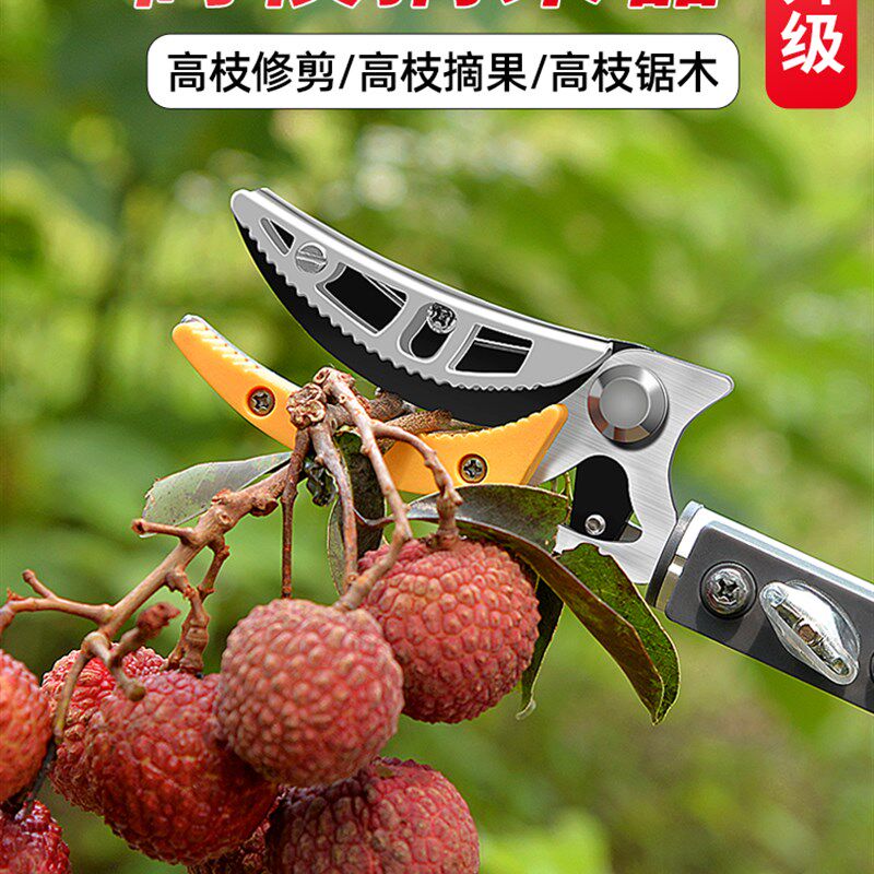 摘果神器修枝剪伸缩高空摘水果剪刀加长采摘器荔枝枇杷龙眼高枝剪