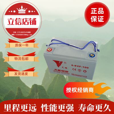 天能6-EVF-12V60A80A100A120A150A铅酸蓄电池电动汽车四轮车电瓶