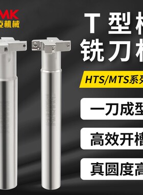 MTS/HTS三面刃T型槽铣刀杆加工中心侧铣数控直柄T形槽刀把H08/12