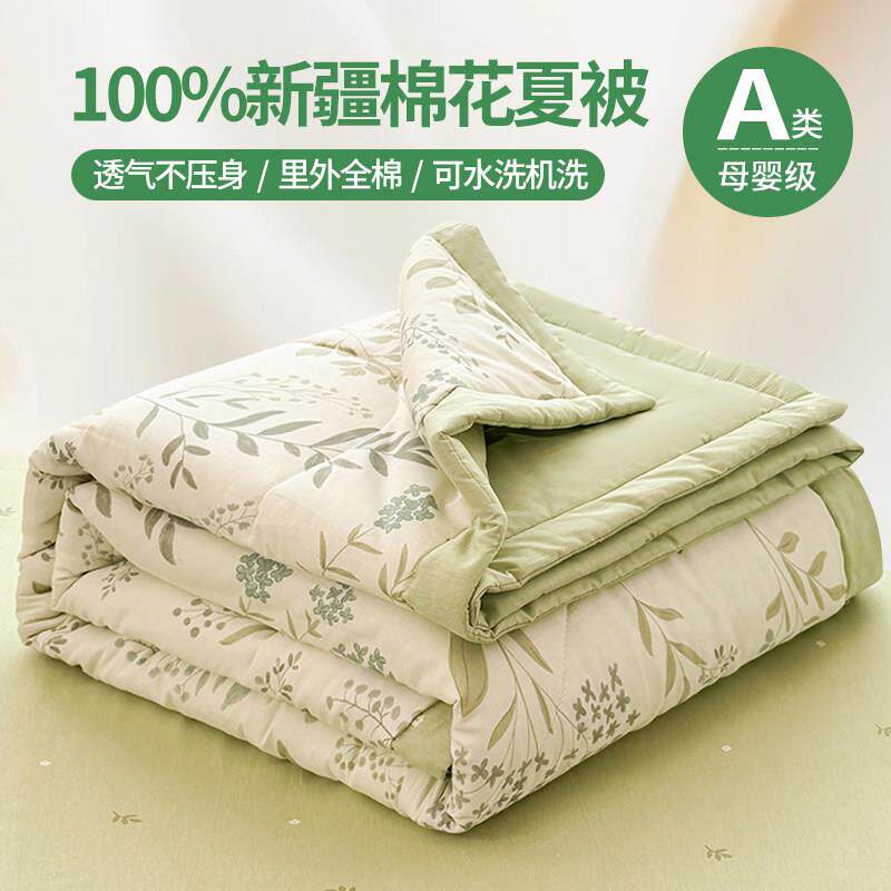 A类JPL全棉夏凉被棉夏花被空调夏被季新款凉被薄被子寝室被2芯206