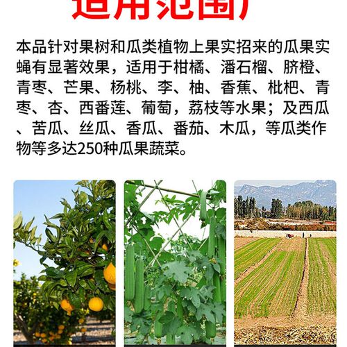 果实蝇诱捕双面粘虫板 农用防虫黄板 果蝇引诱剂组合