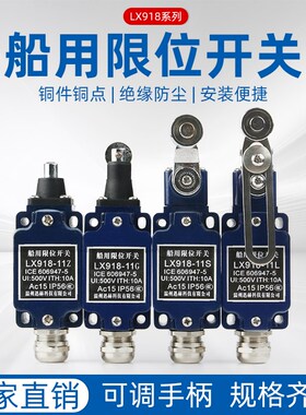 限位开关 船用LX918-11L/Z/G/S/120防水防b 行程开关带滚轮摇臂