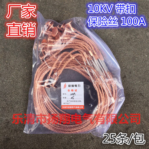 100A熔丝带扣保险丝10KV 户外RW跌落式熔断器专用 高压熔丝10KV