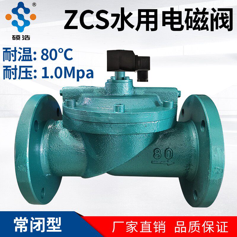 铸铁法兰电磁控制阀220V24V水阀水用取水灌溉设备电动阀门DN80100