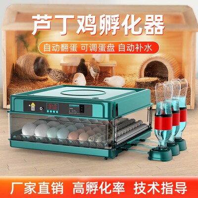 威振芦丁鸡孵化器小型家用迷你孵化机全自动智能孵蛋器小鸡孵化箱