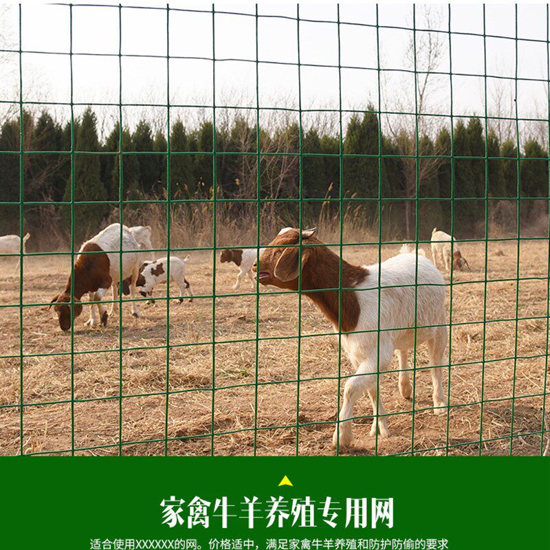 丝网格网菜园加密网爬藤栅栏网爬花架铁丝方格篱笆网网格围栏户外