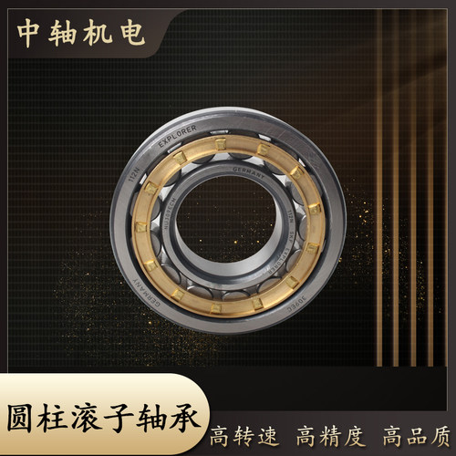 洛阳圆柱滚子轴承N NU NJ312 313 314 315 316 317 318 319EM