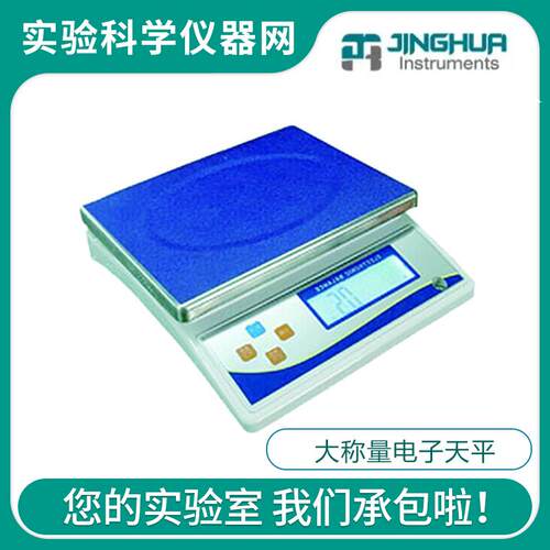 上海菁海YP30KN/YP20KN/YP15KN/YP10KN/YP6000N电子天平大称量1g