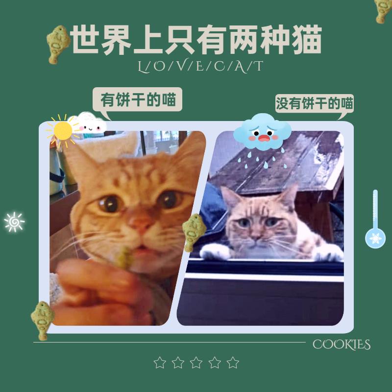 林小喵猫咪猫饼干*10盒装 金枪鱼混合鲜虾薄荷零食磨牙发腮增胖