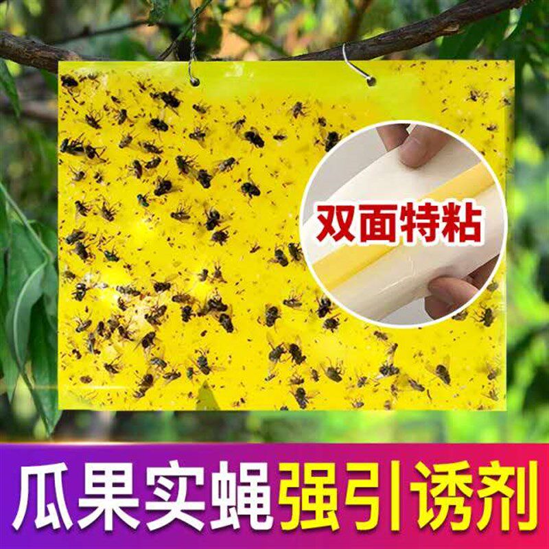 达豪农庄宝果蝇诱粘板 瓜果桔实蝇苍蝇贴板针蜂害虫粘胶100张包邮
