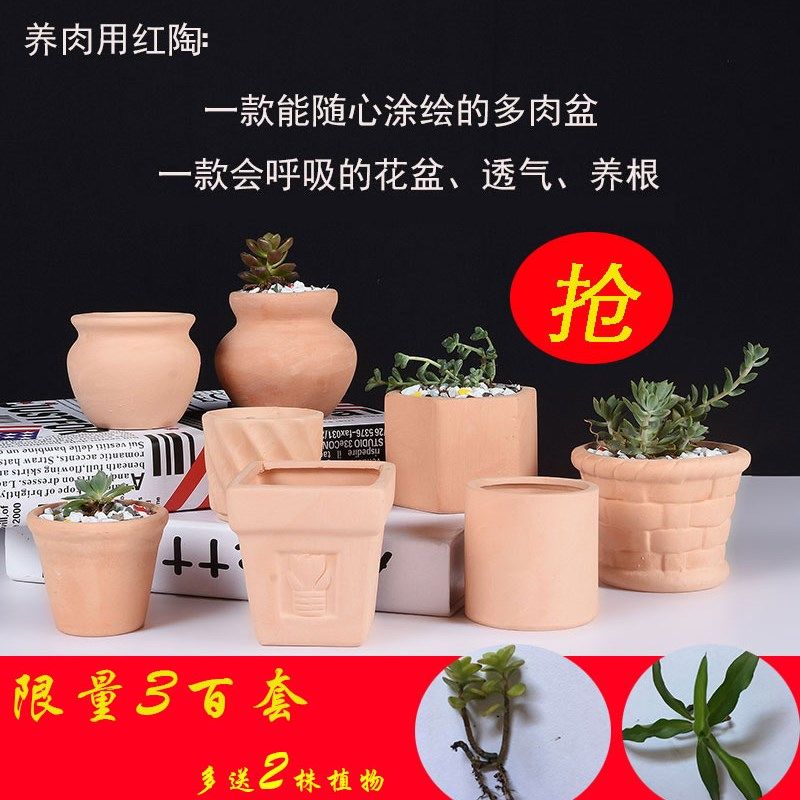 红陶多肉花盆 红陶土花盆素烧花盆拇指盆陶瓷红陶花盆手绘盆