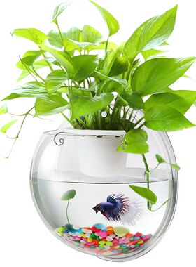 家居饰品墙面装饰壁挂鱼缸壁挂花盆水培绿萝植物吸甲醛瓷砖免打孔
