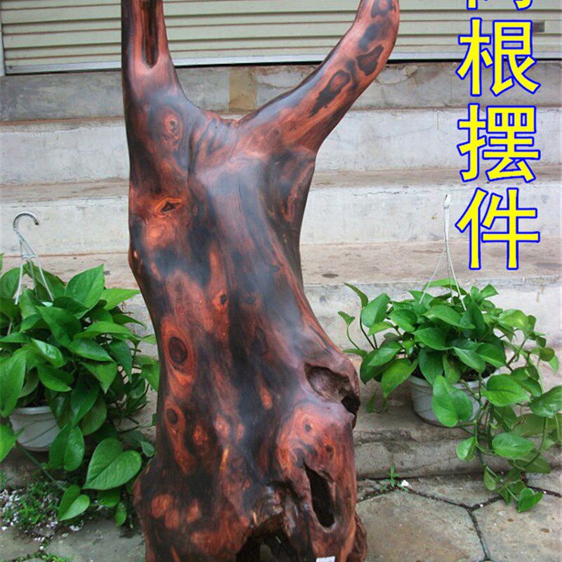 老挝大红酸枝DIY木料 交趾黄檀雕D刻木料 红木随形树根料 根雕木