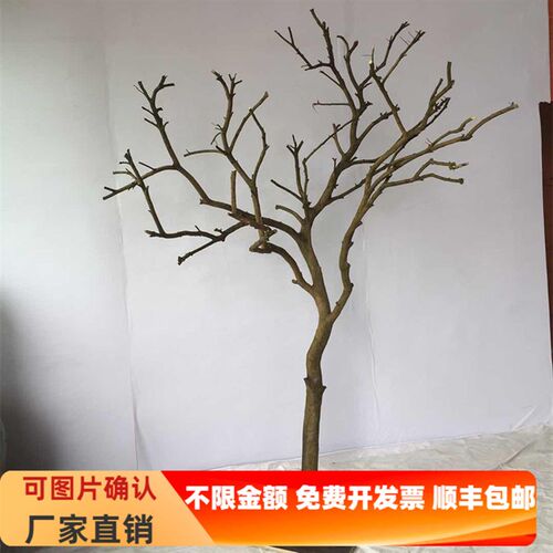 装饰干树枝树 枯枝白树枝 原木A色花瓶摆件婚庆造型树盆景花艺饰