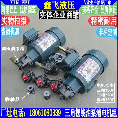 RHB-4JZ摆线齿轮泵BRB-4三角泵电机组5 6 1/4HP油泵电机装置Y