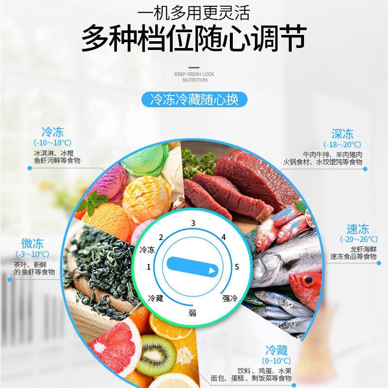 香雪海铜管新款商用冷冻冷藏保鲜食品单温直冷家用顶开门双温冰柜