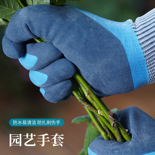 园艺剪枝剪刀修枝剪果树不锈钢园林花艺剪子工具修剪树枝剪刀花剪