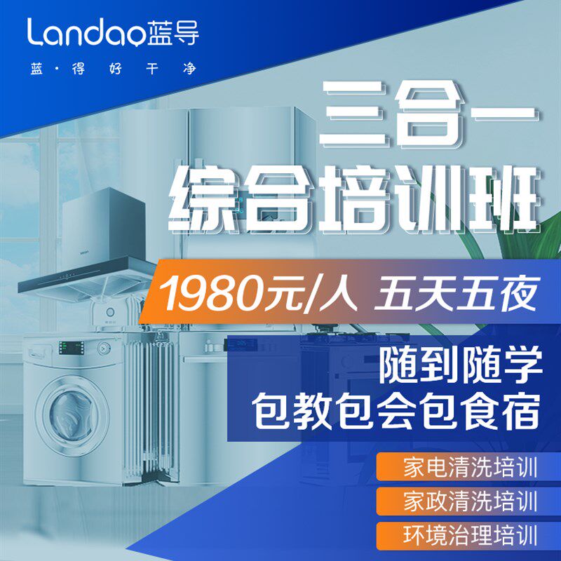 蓝导家电清洗设备油烟机空调热水器多功能一体高温高压蒸汽清洁机