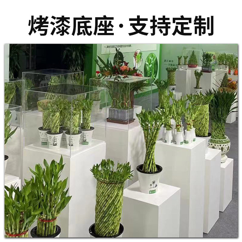 亚克力烤漆展示台工艺品玉器珠宝玻璃展示柜透明防尘罩商业会展台