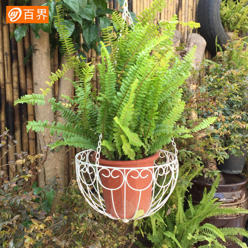 百界铁艺壁挂式花架吊篮花篮挂钩支架挂架墙面挂花花盆架子铸铁