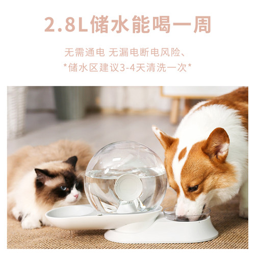 猫碗双碗喂食喂水一体机自动饮水饭盆狗盆防打翻猫粮水碗猫咪食盆