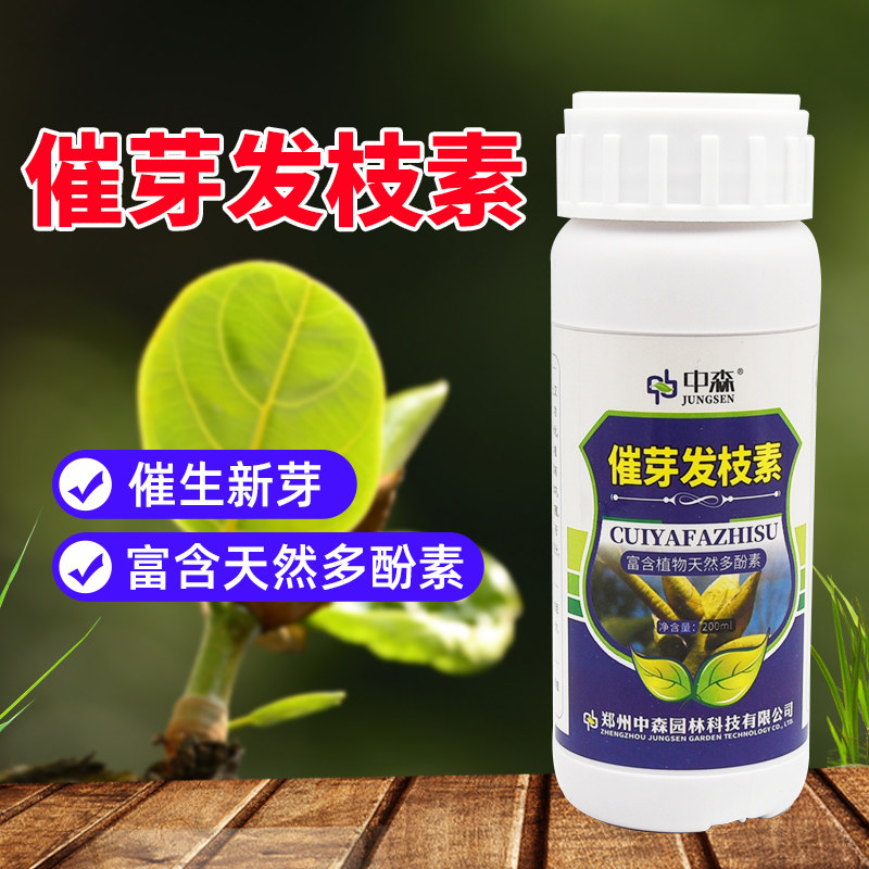 催芽发枝素促进生芽抽枝剂细胞分裂素替代刻芽发芽剂花卉苗木茶树