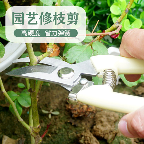 上水银花 园林剪果枝剪花枝剪子修枝剪园林剪刀家用剪子果树剪