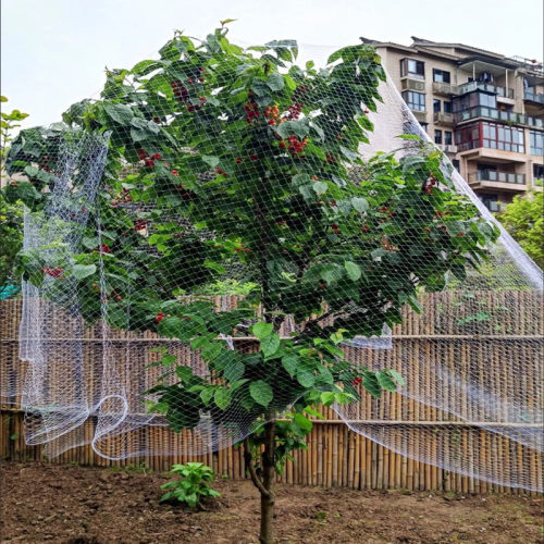 防鸟网罩果园樱桃嘉宝果树农业用网葡萄天网水果植物防护纱网丝网