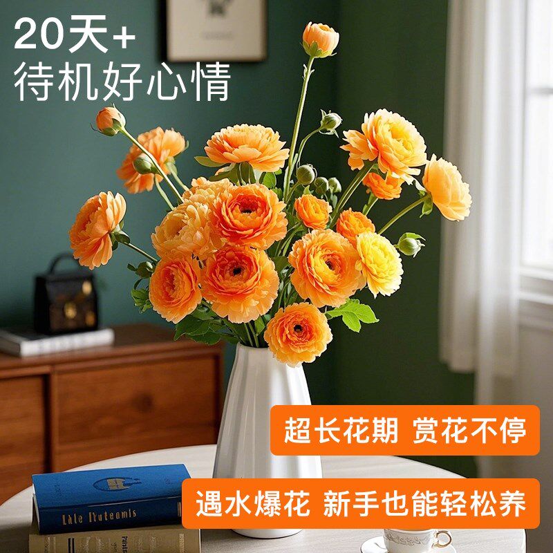 花点时间蝴蝶洋牡丹鲜花速递云南昆明办公室插花水养真花培鲜切花