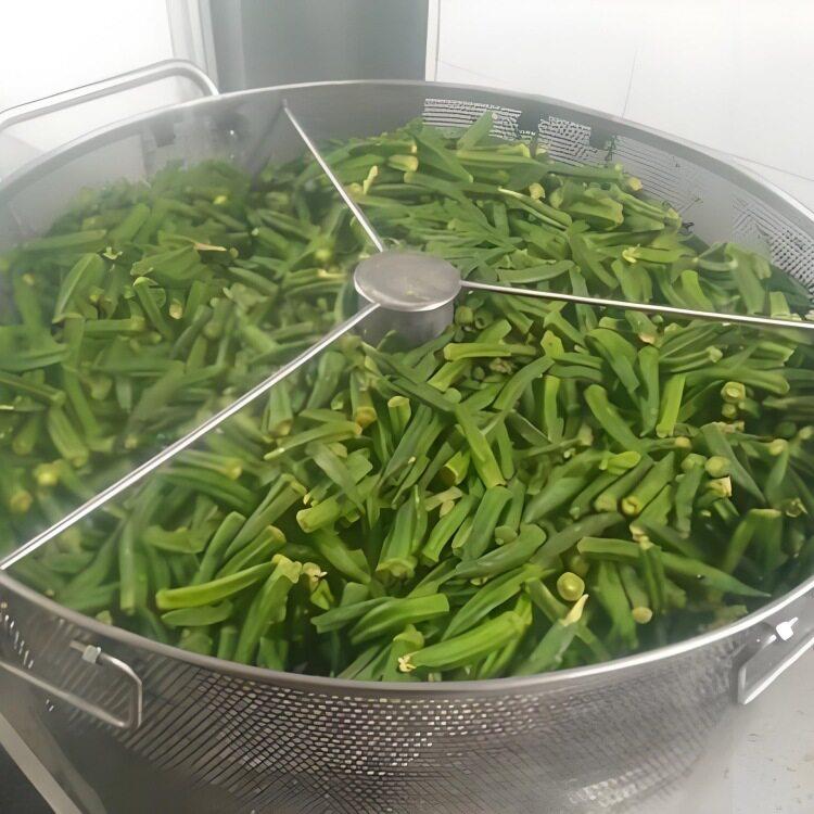 果蔬脆真空油炸机低温油炸机香蕉片休闲零食果蔬脆片深加工设备
