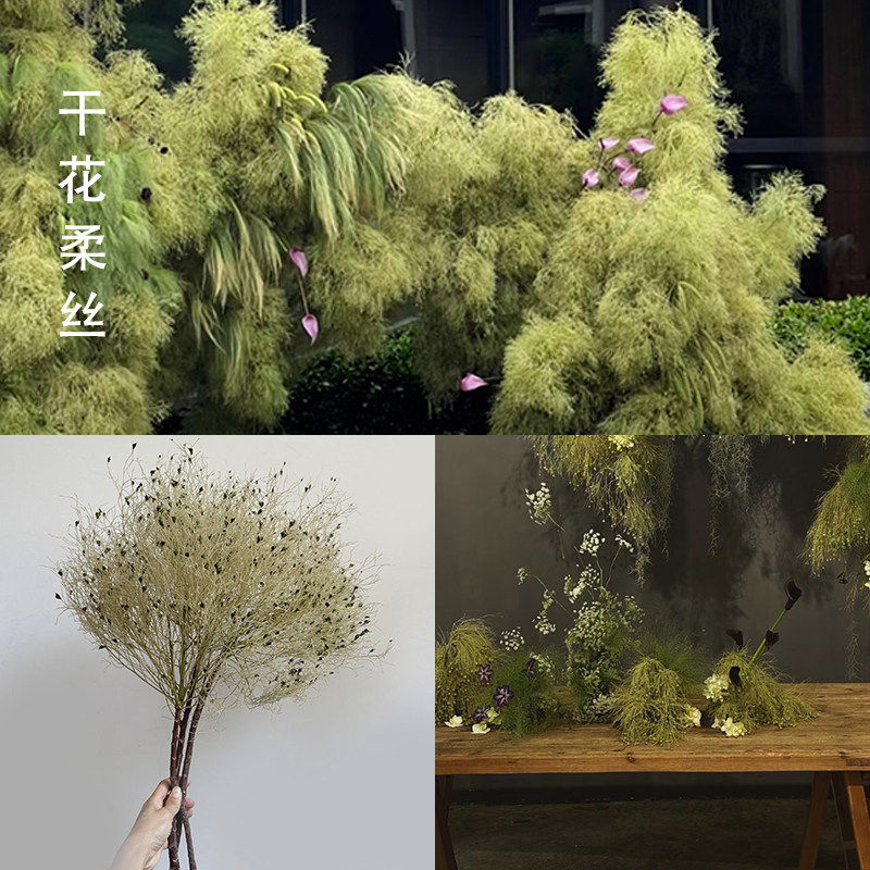 柔丝永生花梦幻草龙须草