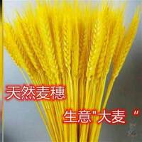 发财大黄金麦穗客厅摆件彷真花稻穗稻谷鲜花开业大麦小麦干燥花装