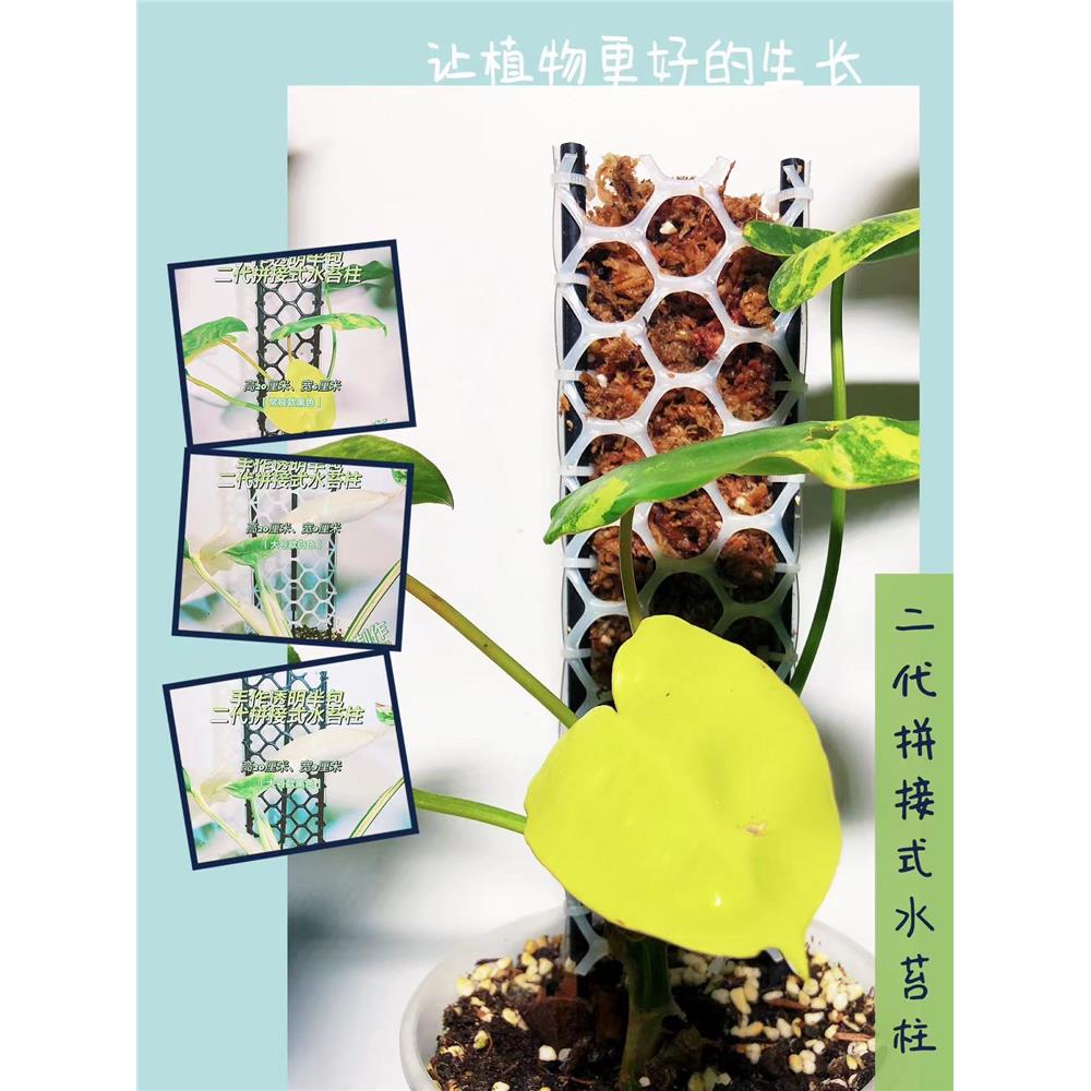 二代水苔柱积木拼插绿植