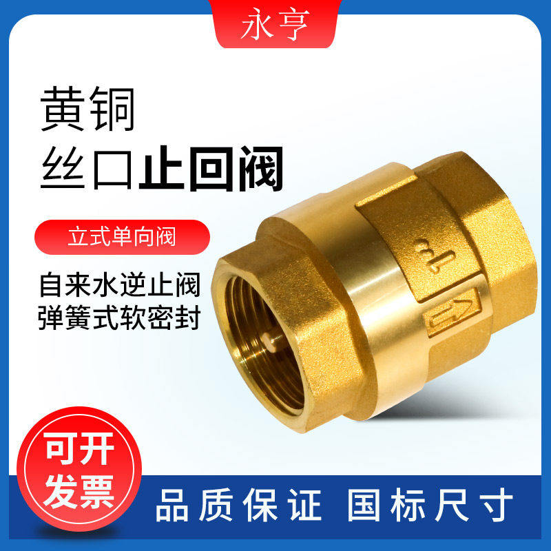 黄铜止回阀止逆阀弹簧立