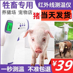 动物兽用测温仪猪牛羊猫狗宠物测量体温兽用体温计体温枪温度计