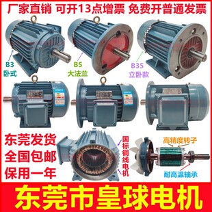 YE3东莞电机三相异步电动机马达B3卧式B5法兰B35立卧国标铜线2级