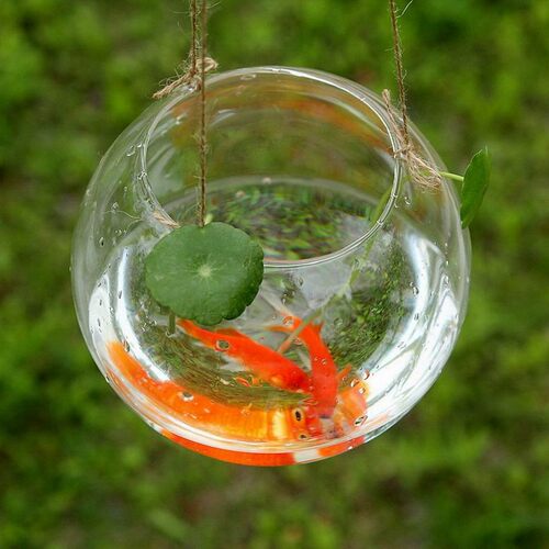 创意家饰水晶珊瑚桌面迷你小鱼缸办公室透明玻璃鱼缸水族箱花瓶