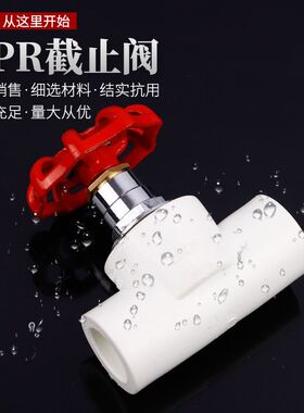 加厚热熔PPR截止阀升降式开关冷热给水管卡簧式快装水闸阀门20 25