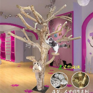 实木猫爬架耐磨 原木枯树干 大型猫窝网红猫爬树一体多层宠物跳台