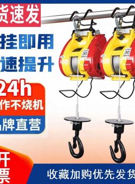 进口微型电动葫芦220v悬挂式提升机吊机卷扬机家用小型空调升降