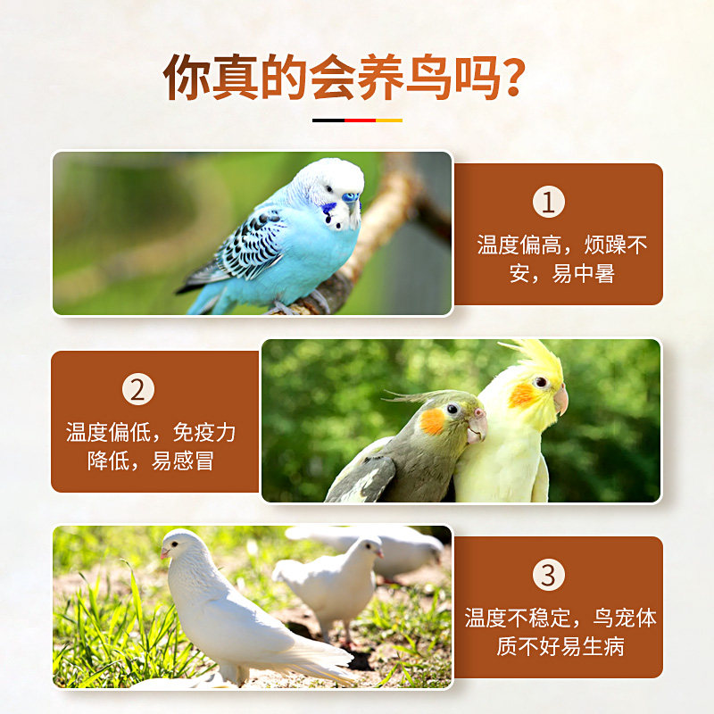 温控器鹦鹉保温箱保温灯温控开关插座智能电子数显温度控制器调温