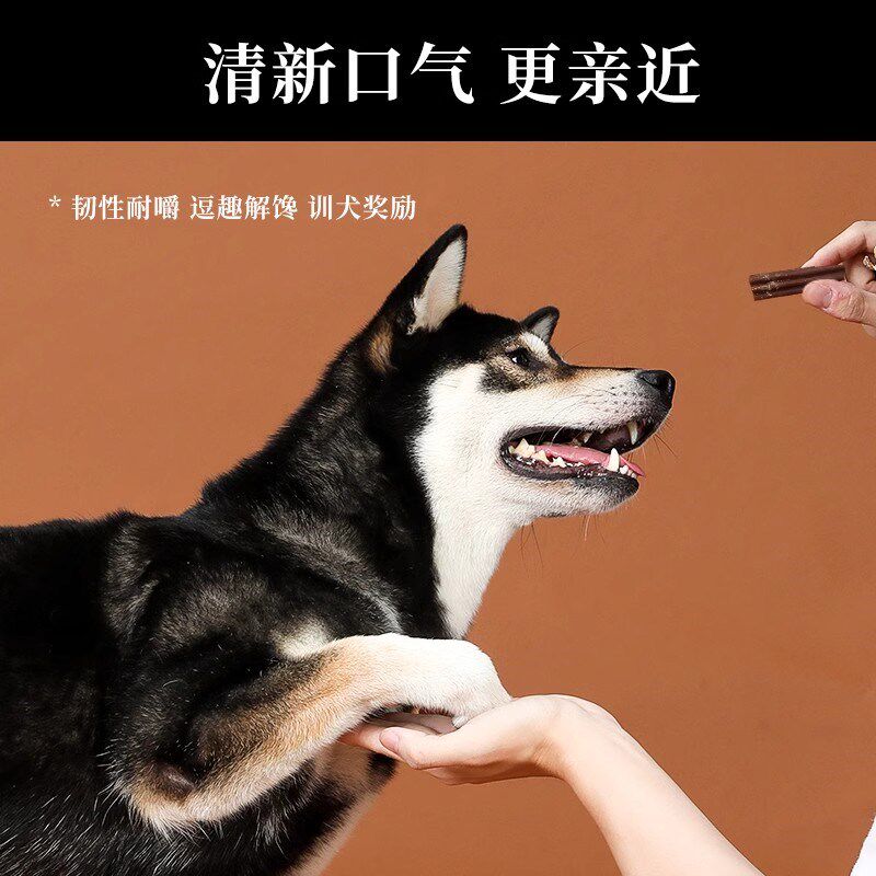 力狼狗狗洁齿棒小型犬泰迪比熊专用洁齿骨耐咬训狗宠物磨牙零食