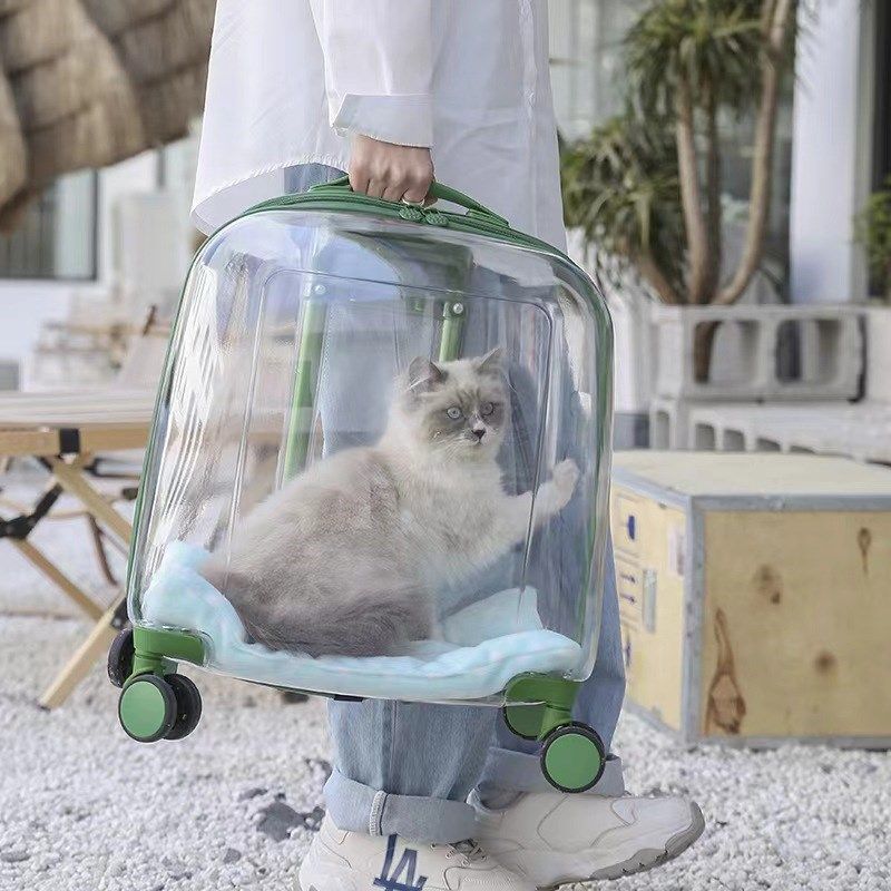 猫咪外出拉杆箱小狗狗太空舱透明便携背包春夏季大容量猫包宠物包