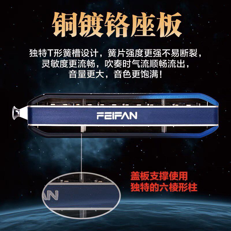飞繁半音阶口琴仰望星空系列初学入门推荐12孔c调