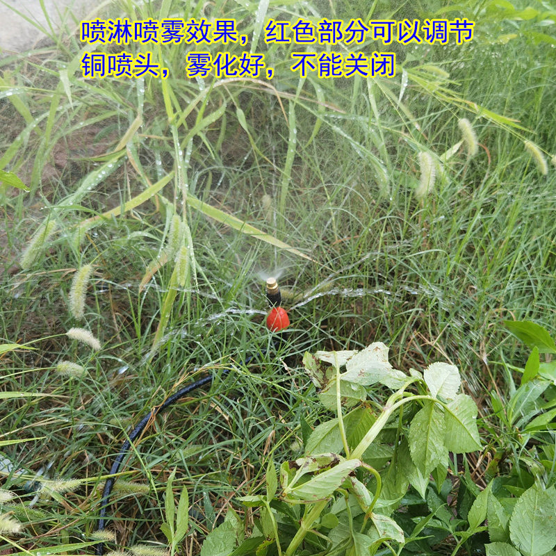 自动浇花器浇水神器定时智能灌溉控制器滴灌微喷雾化喷雾地插喷头