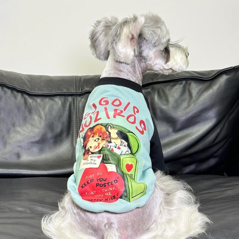 雪纳瑞泰迪小型犬秋冬拼色卫衣猫咪宠物秋冬款圆领保暖卫衣