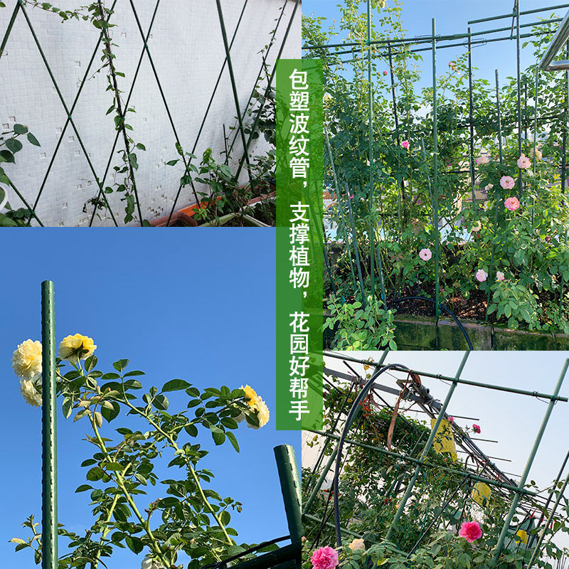 包塑管爬藤支架支柱杆豆角黄瓜搭架植物固定DIY支撑杆月季花支架