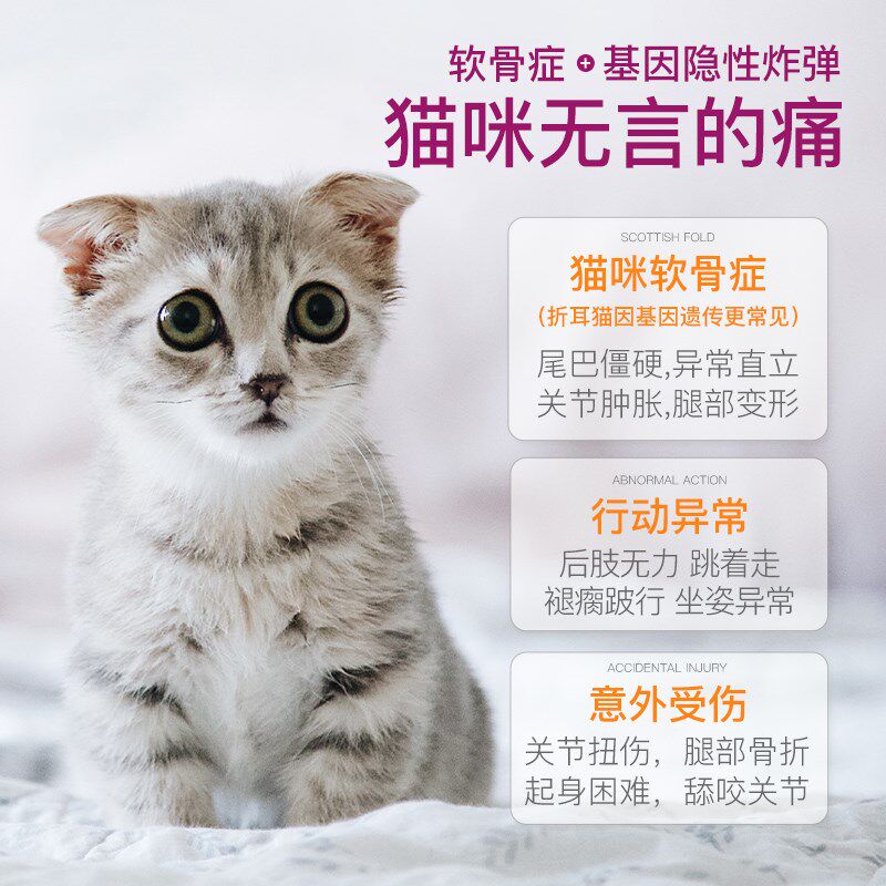 猫关节软骨素折耳猫咪软骨症尾僵发育不良腿瘸骨折宠物关节宝